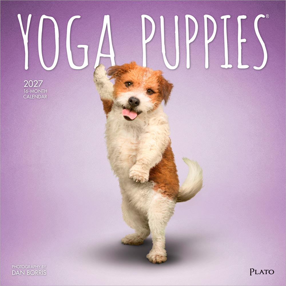 Yoga Puppies OFFICIAL | 2027 12 x 24 Inch (Hanging) Monthly Square Wall Calendar | Plato | Animals Humor Puppy Dogs Canine