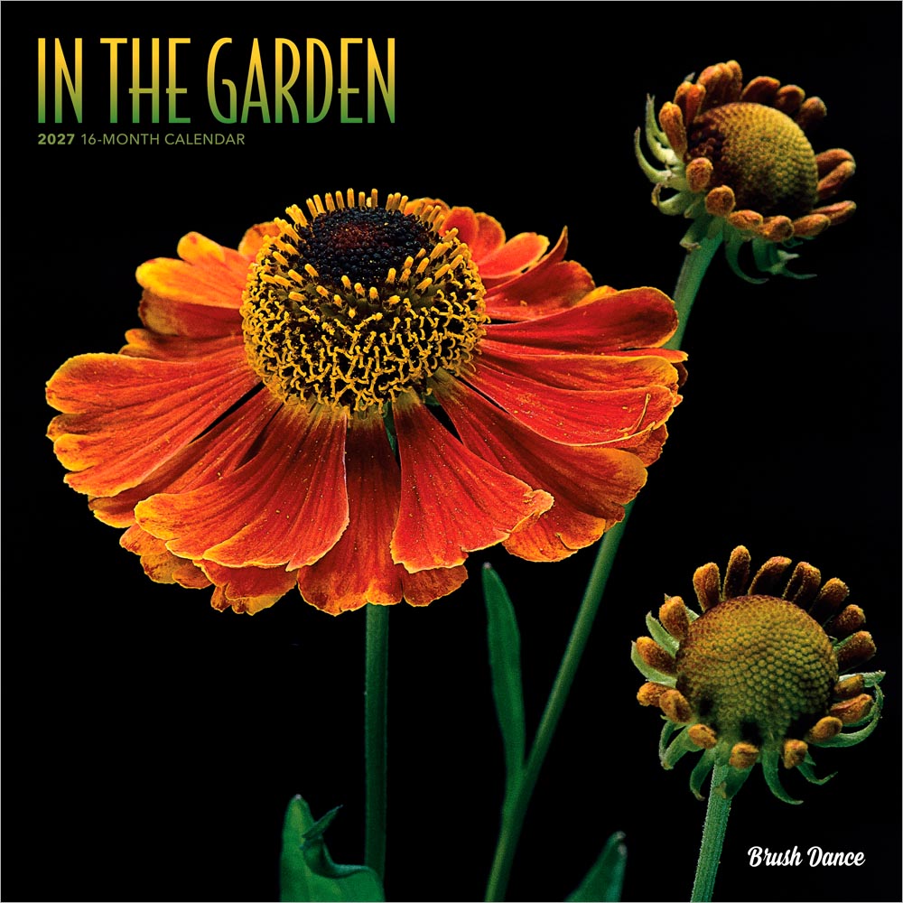In the Garden | 2027 12 x 24 Inch (Hanging) Monthly Square Wall Calendar | Plastic-Free | Brush Dance | Flowers Plants Floral Photography