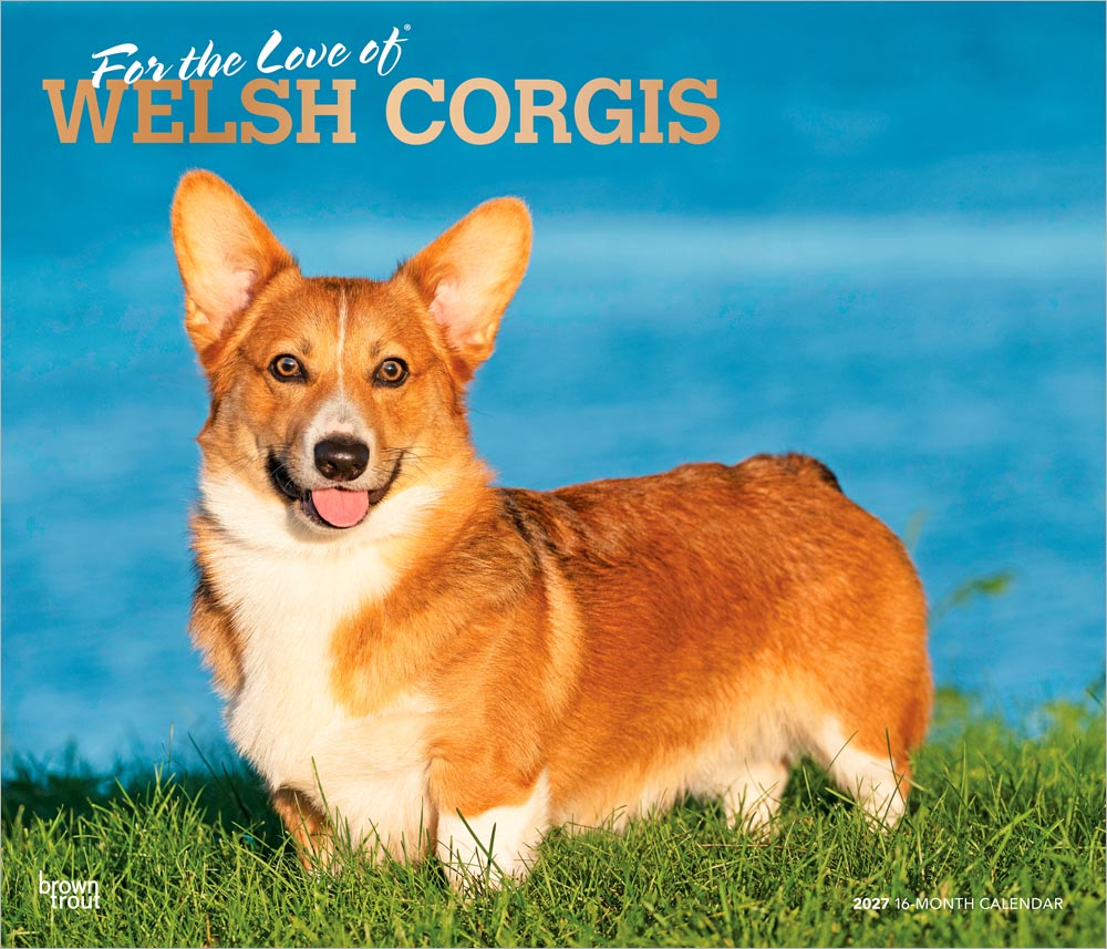 For the Love of Welsh Corgis | 2027 14 x 24 Inch (Hanging) Monthly Deluxe Wall Calendar | Foil Stamped Cover | Plastic-Free | BrownTrout | Animal Dog Breeds