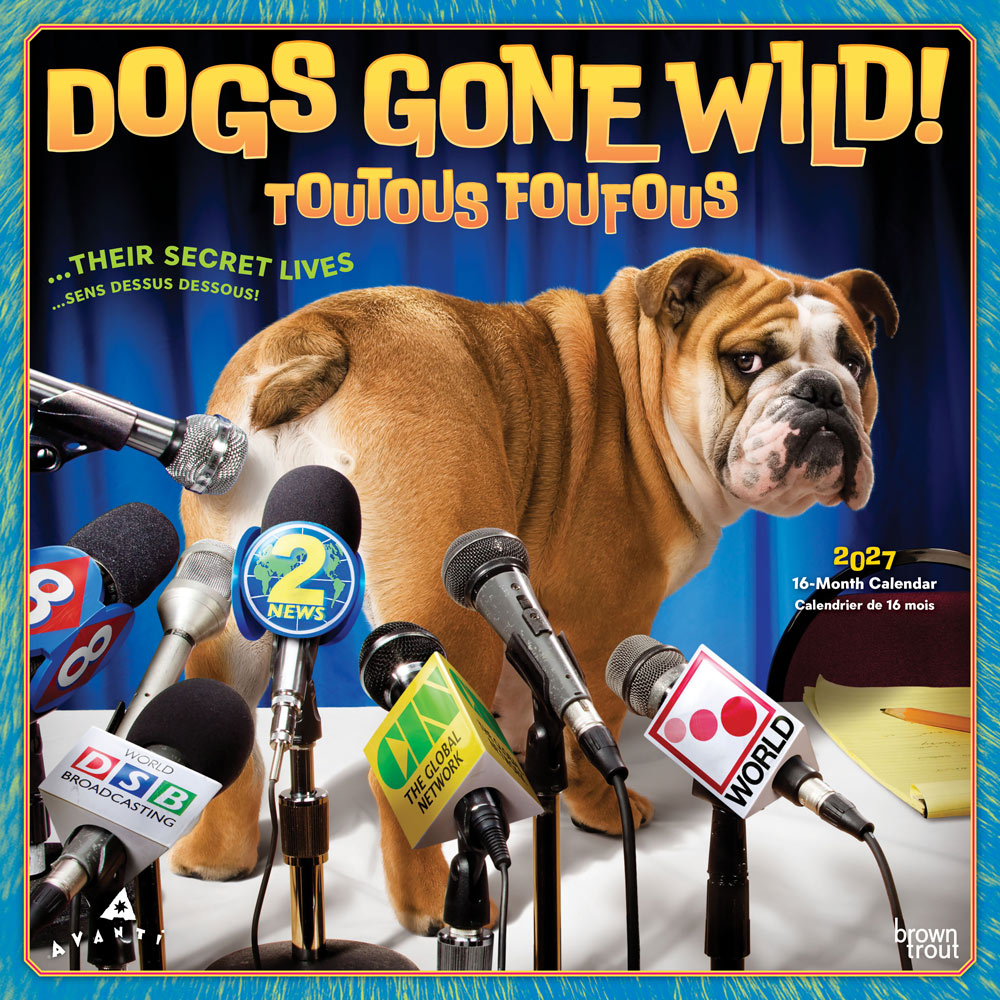 Avanti Dogs Gone Wild OFFICIAL | 2027 12 x 24 Inch (Hanging) Monthly Square Wall Calendar | English/French Bilingual | BrownTrout | Canine Pet Humor