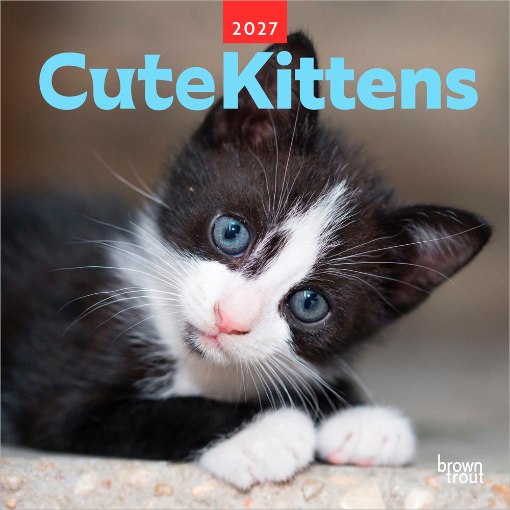 Cute Kittens | 2027 12 x 24 Inch (Hanging) Monthly Square Wall Calendar | Plastic-Free | BrownTrout | Cats Pets Feline