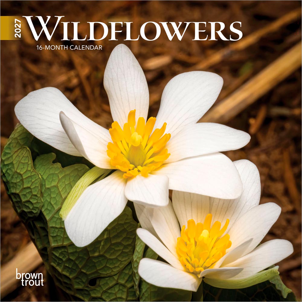 Wildflowers | 2027 7 x 14 Inch (Hanging) Monthly Mini Wall Calendar | BrownTrout | Flower Outdoor Plant