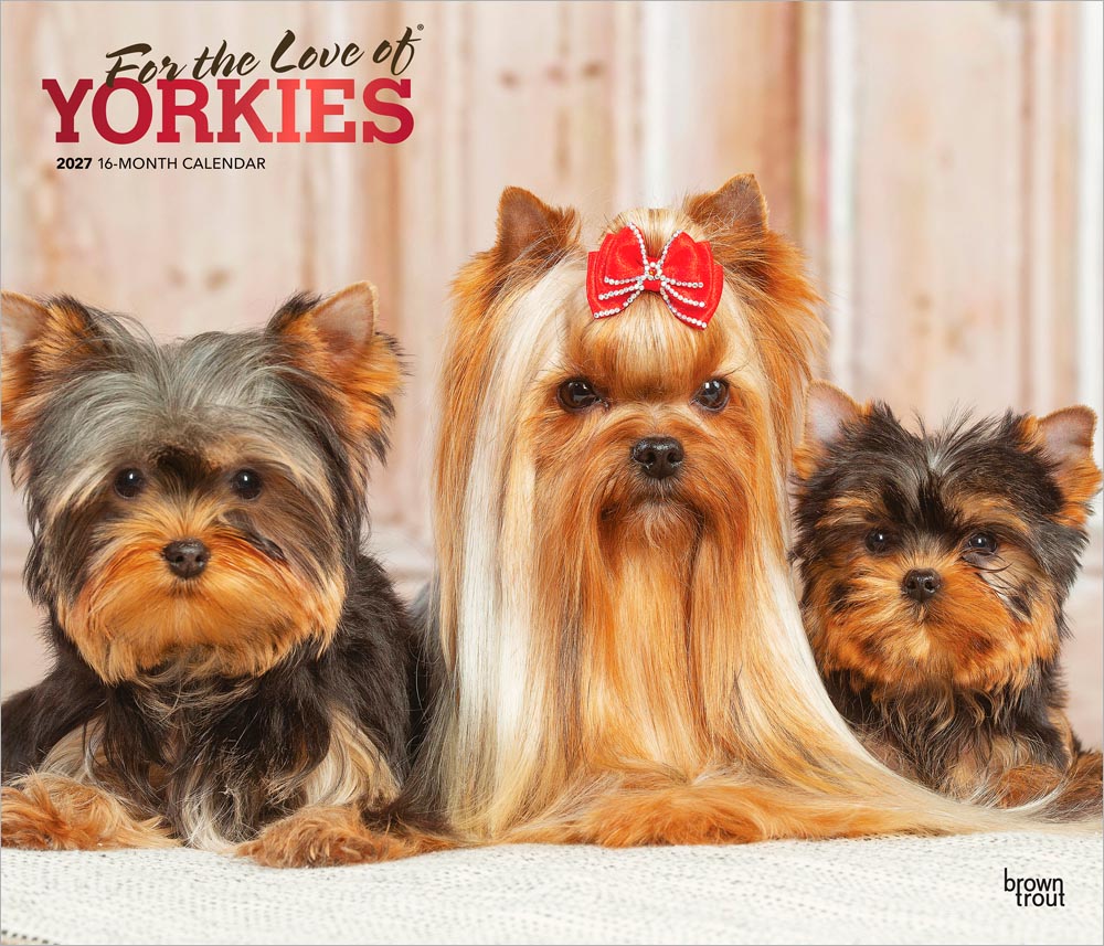 For the Love of Yorkshire Terriers | 2027 14 x 24 Inch (Hanging) Monthly Deluxe Wall Calendar | Foil Stamped Cover | Plastic-Free | BrownTrout | Animal Small Dog Breeds