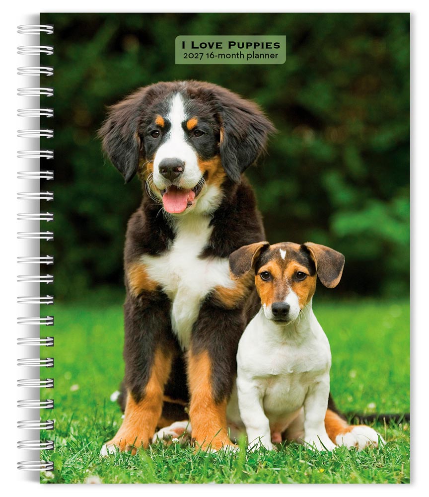 I Love Puppies | 2027 6 x 7.75 Inch Spiral-Bound Wire-O Weekly Engagement Planner Calendar | New Full-Color Image Every Week | BrownTrout | Animals Dog Breeds Puppy