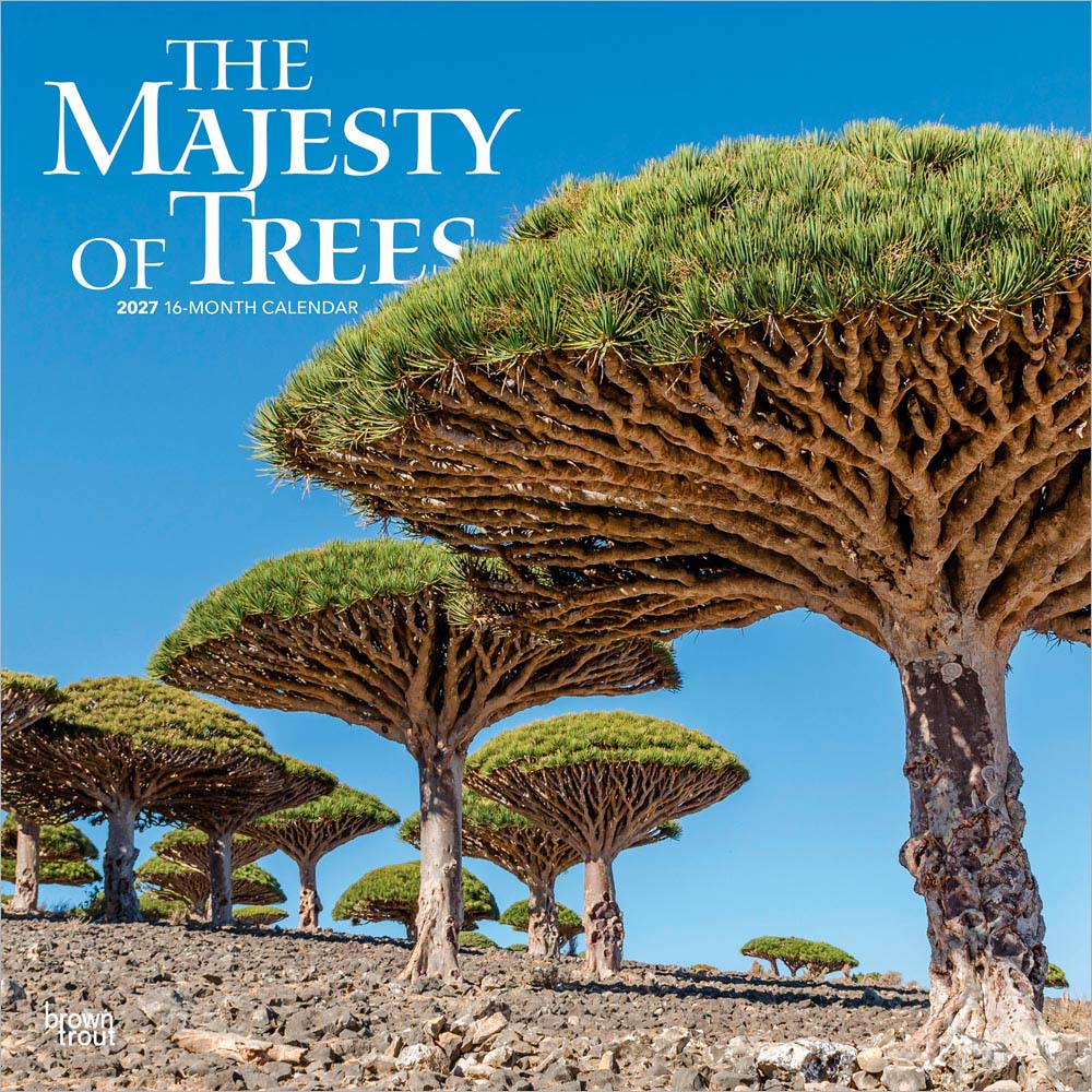 The Majesty of Trees | 2027 12 x 24 Inch (Hanging) Monthly Square Wall Calendar | Plastic-Free | BrownTrout | Nature Forests