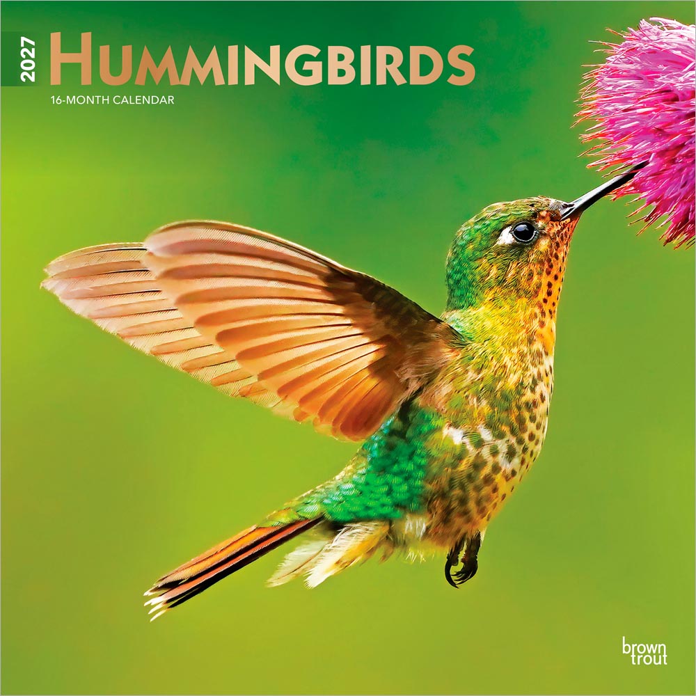 Hummingbirds | 2027 12 x 24 Inch (Hanging) Monthly Square Wall Calendar | Foil Stamped Cover | Plastic-Free | BrownTrout | Animals Wildlife