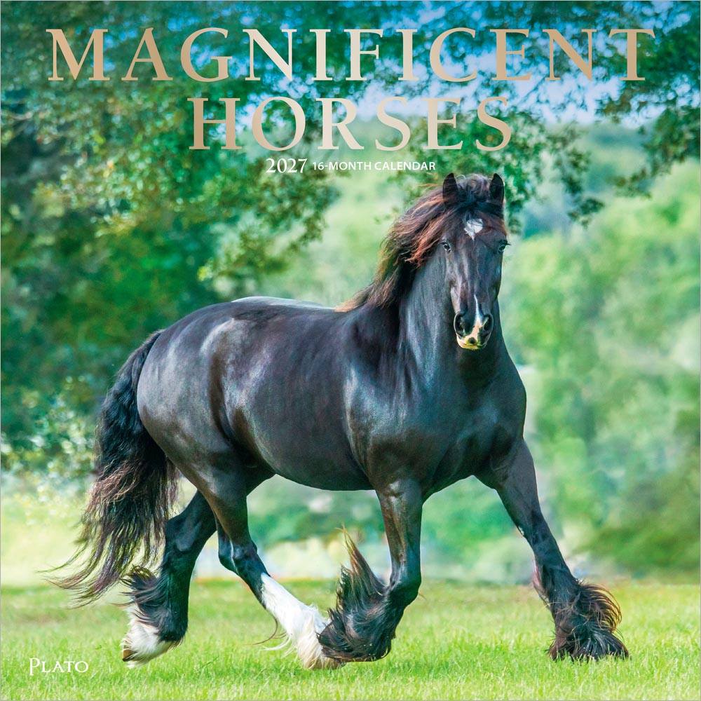 Magnificent Horses | 2027 12 x 24 Inch (Hanging) Monthly Square Wall Calendar | Foil Stamped Cover | Plato | Animals Horses Equestrian