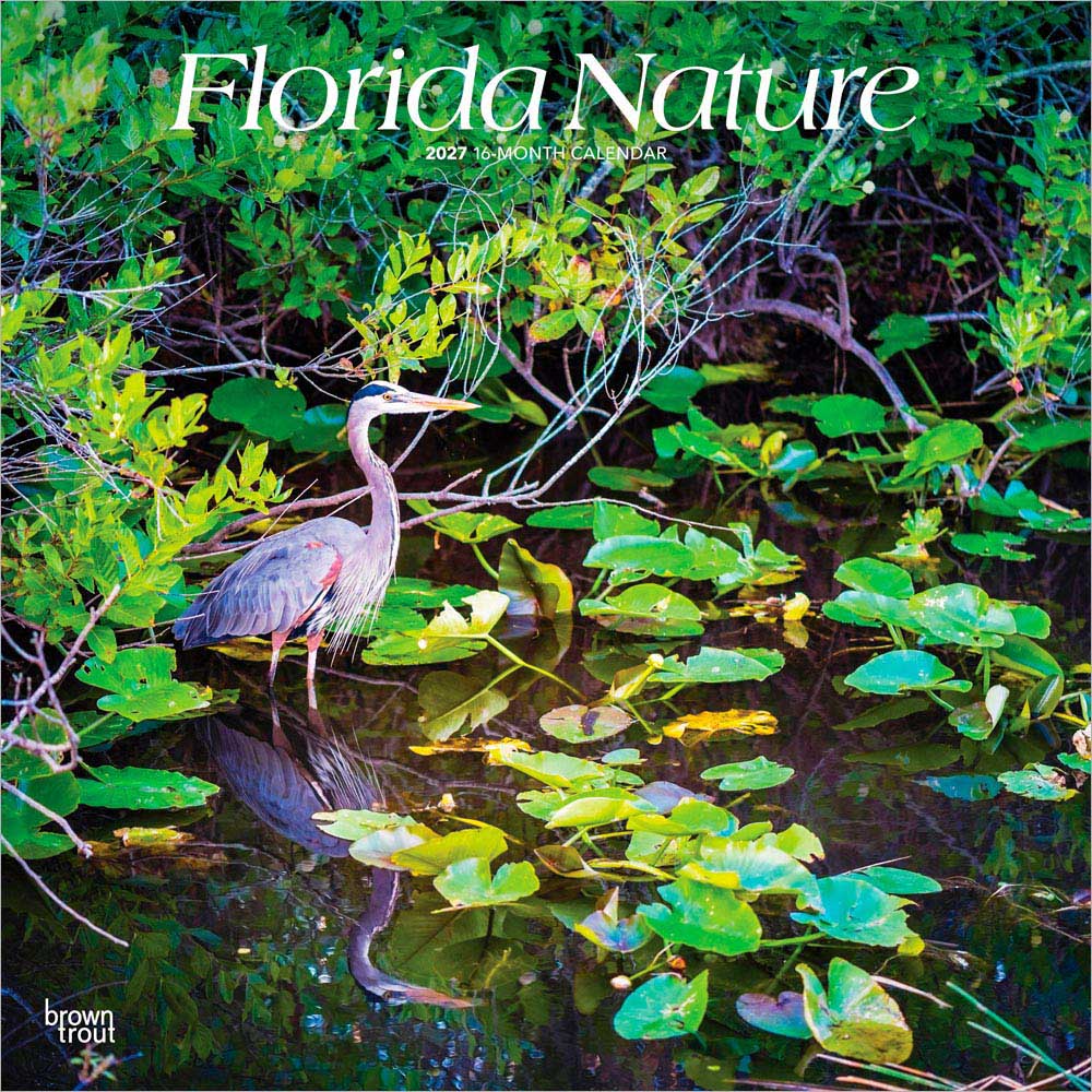 Florida Nature | 2027 12 x 24 Inch (Hanging) Monthly Square Wall Calendar | Plastic-Free | BrownTrout | USA United States of America Southeast State