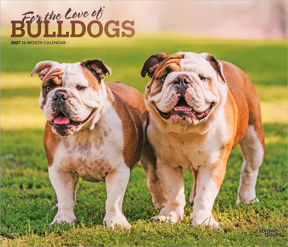For the Love of Bulldogs | 2027 14 x 24 Inch (Hanging) Monthly Deluxe Wall Calendar | Foil Stamped Cover | Plastic-Free | BrownTrout | Animal Dog Breeds