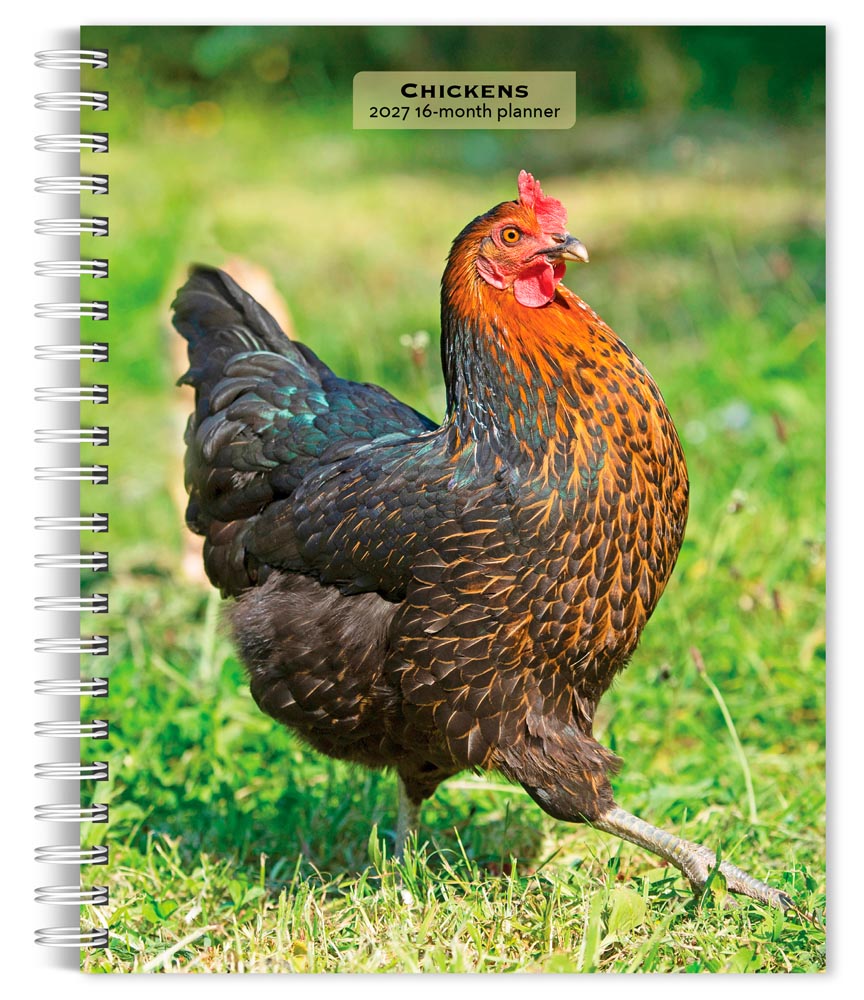 Chickens | 2027 6 x 7.75 Inch Spiral-Bound Wire-O Weekly Engagement Planner Calendar | New Full-Color Image Every Week | BrownTrout | Domestic Farm Animals