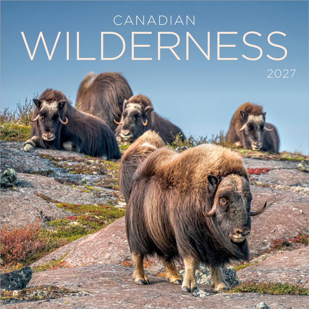 Canadian Wilderness | 2027 12 x 24 Inch (Hanging) Monthly Square Wall Calendar | Wyman Publishing | Regional Travel Nature Scenic