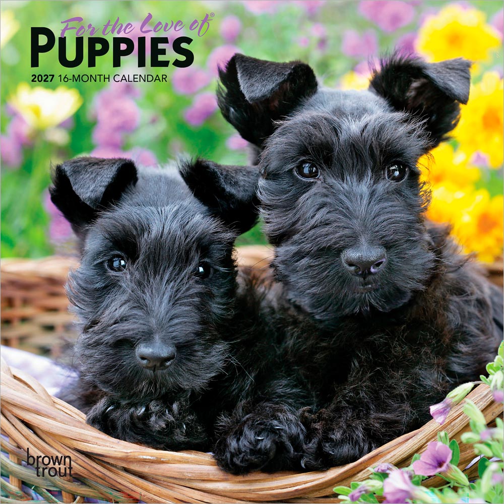 For the Love of Puppies | 2027 7 x 14 Inch (Hanging) Monthly Mini Wall Calendar | BrownTrout | Animals Dog Breeds Puppy