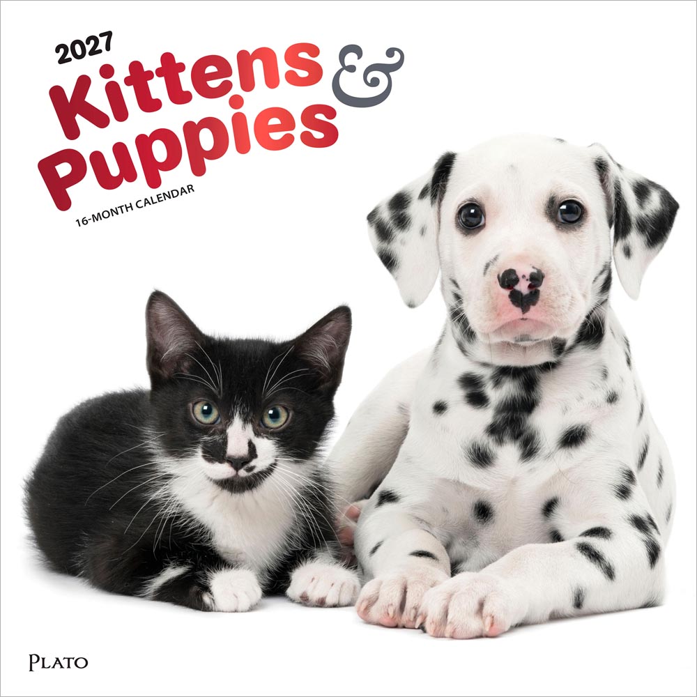 Kittens & Puppies | 2027 12 x 24 Inch (Hanging) Monthly Square Wall Calendar | Foil Stamped Cover | Plato | Animals Cute Kitten Pets