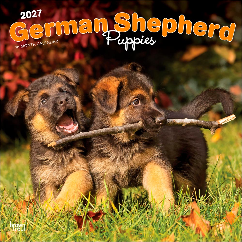 German Shepherd Puppies | 2027 12 x 24 Inch (Hanging) Monthly Square Wall Calendar | Plastic-Free | BrownTrout | Animals Dog Breeds Puppy