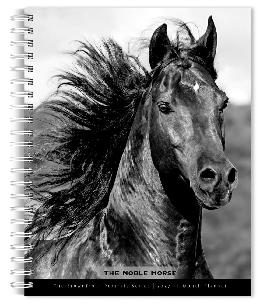 The BrownTrout Portrait Series: The Noble Horse | 2027 6 x 7.75 Inch Spiral-Bound Wire-O Weekly Engagement Planner Calendar | New Image Every Week | Pets Equestrian