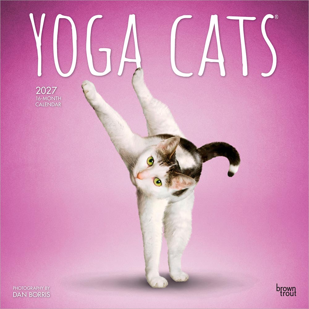 Yoga Cats OFFICIAL | 2027 12 x 24 Inch (Hanging) Monthly Square Wall Calendar | Plastic-Free | BrownTrout | Animals Humor Pets