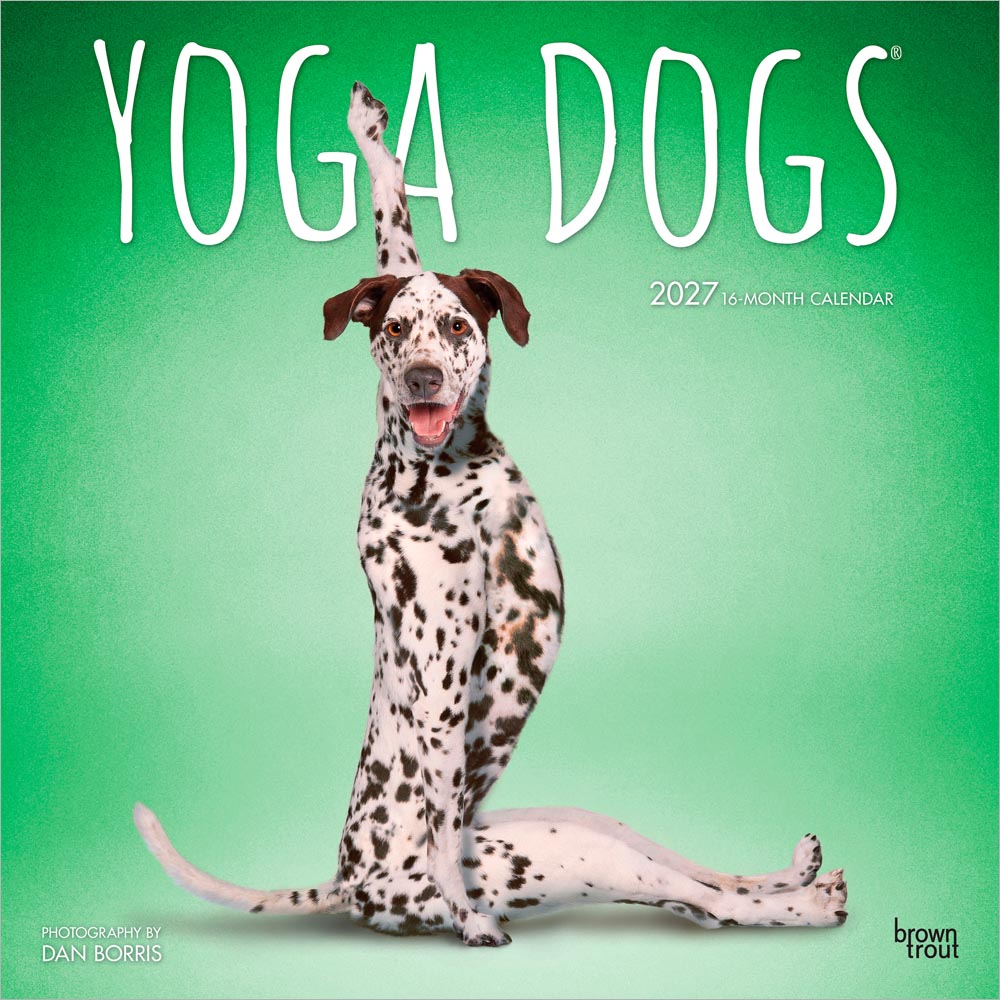 Yoga Dogs OFFICIAL | 2027 12 x 24 Inch (Hanging) Monthly Square Wall Calendar | Plastic-Free | BrownTrout | Animals Humor Pets