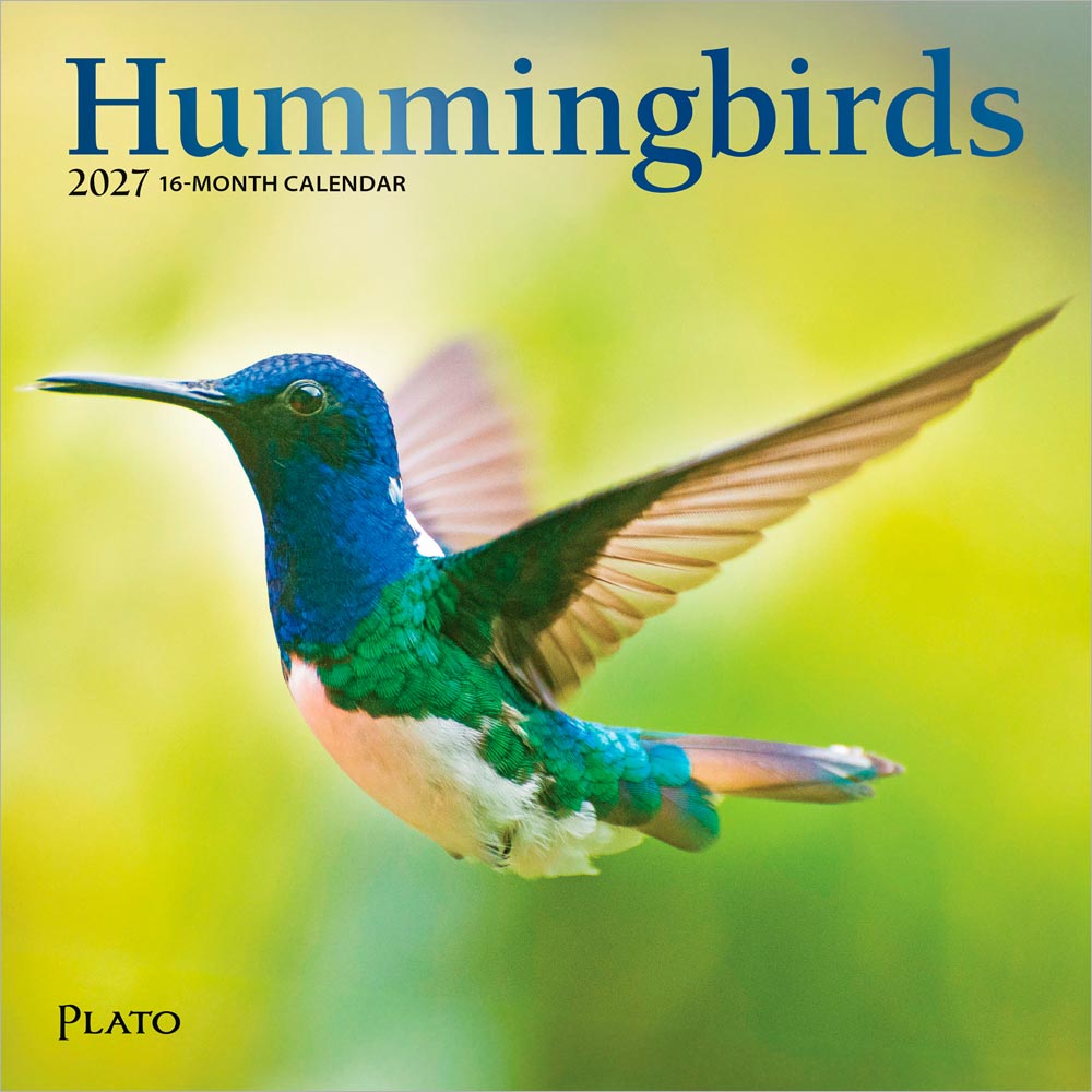 Hummingbirds | 2027 7 x 14 Inch (Hanging) Monthly Mini Wall Calendar | Foil Stamped Cover | Plato | Animals Wildlife