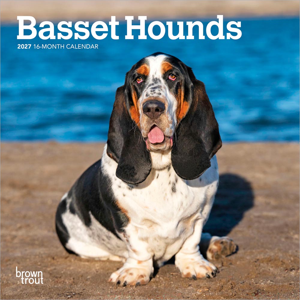 Basset Hounds | 2027 7 x 14 Inch (Hanging) Monthly Mini Wall Calendar | BrownTrout | Animals Dog Breeds
