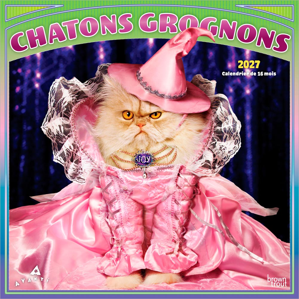 Avanti Chatons Grognons OFFICIEL | 2027 12 x 24 Inch (Hanging) Monthly Square Wall Calendar | French Language | BrownTrout | Angry Cat Humor