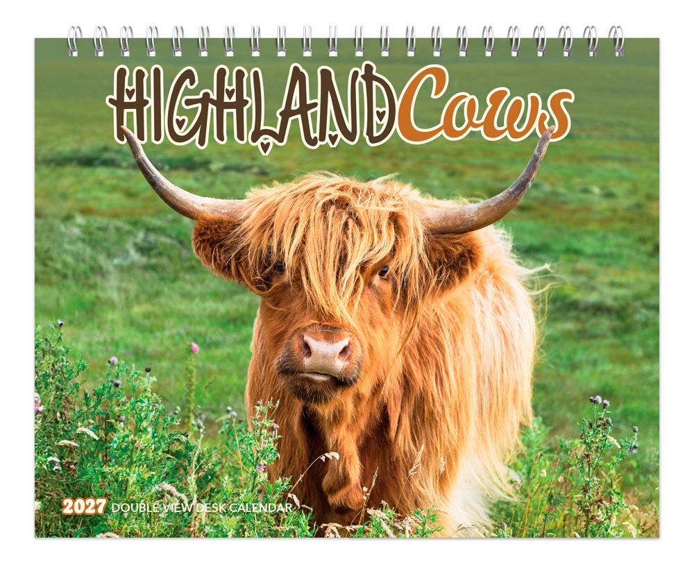 Highland Cows | 2027 7.5 x 6 Inch Monthly Double-View Easel Desk Calendar | BrownTrout | Domestic Farm Animals