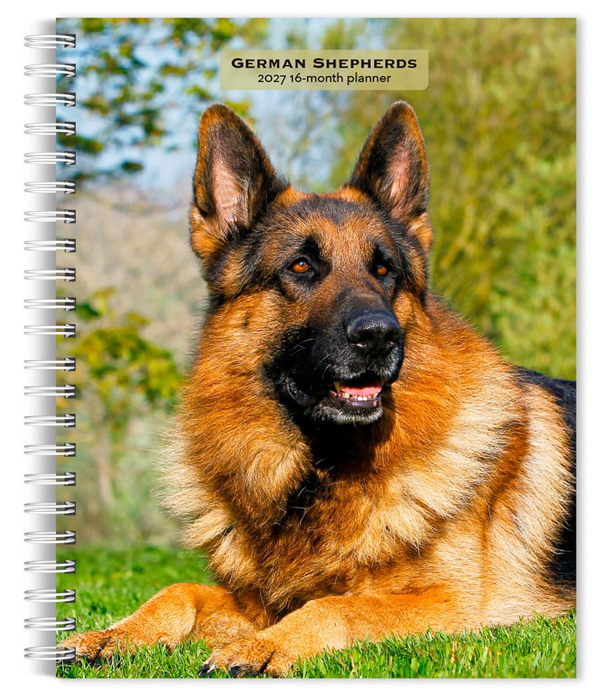 German Shepherds | 2027 6 x 7.75 Inch Spiral-Bound Wire-O Weekly Engagement Planner Calendar | New Full-Color Image Every Week | BrownTrout | Animals Dog Breeds Pets