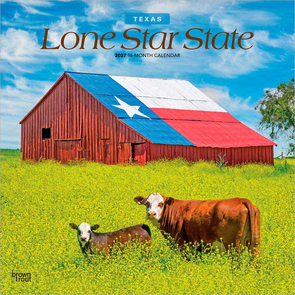 Lone Star State | Texas Places | 2027 12 x 24 Inch (Hanging) Monthly Square Wall Calendar | Plastic-Free | BrownTrout | USA United States of America Southwest State Nature