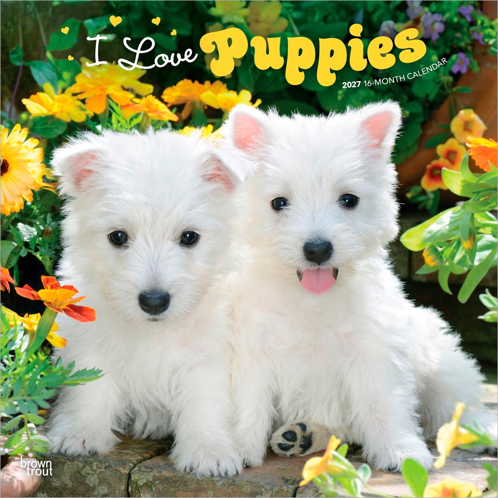I Love Puppies | 2027 12 x 24 Inch (Hanging) Monthly Square Wall Calendar | Plastic-Free | BrownTrout | Animals Dog Breeds