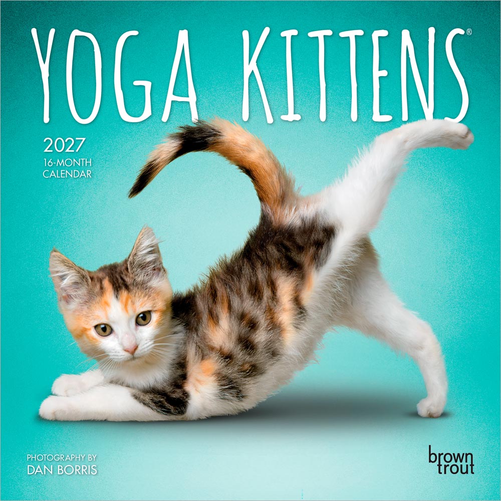 Yoga Kittens OFFICIAL | 2027 7 x 14 Inch (Hanging) Monthly Mini Wall Calendar | BrownTrout | Animals Humor Cats Feline