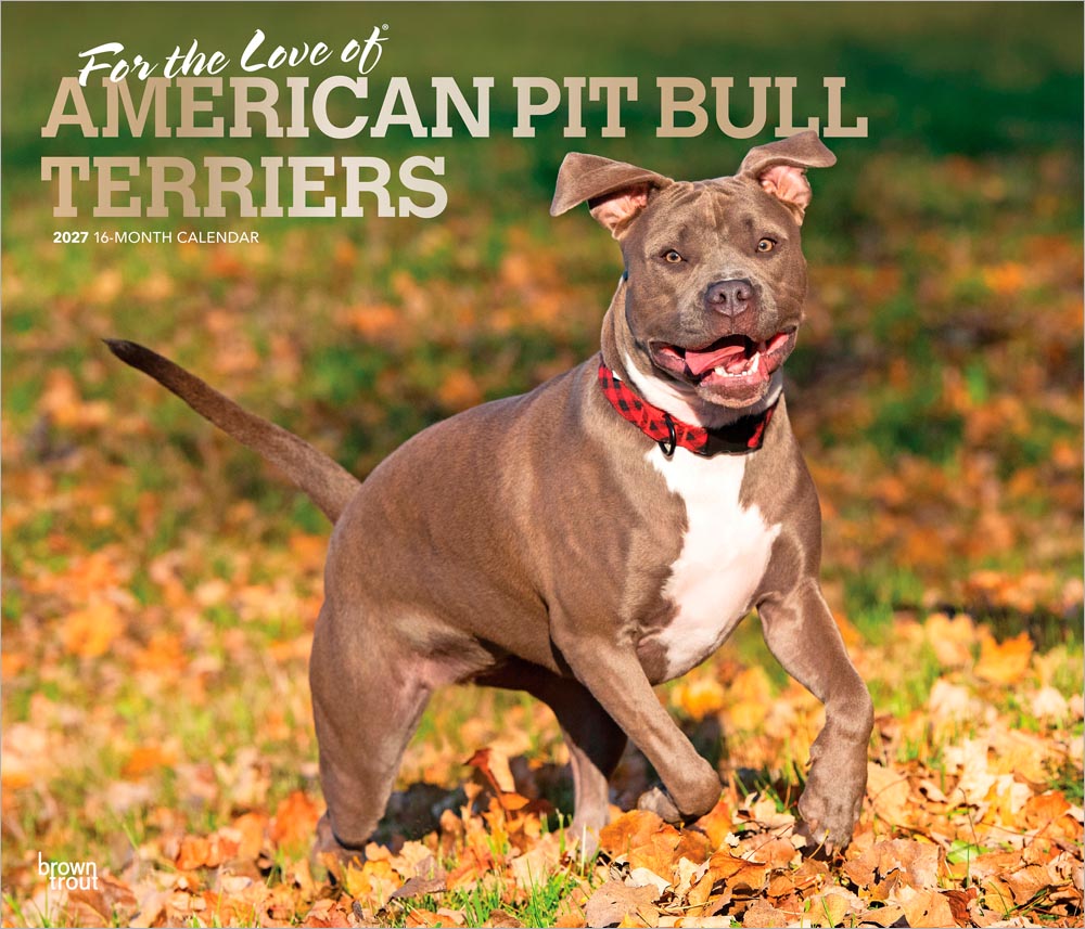 For the Love of American Pit Bull Terriers | 2027 14 x 24 Inch (Hanging) Monthly Deluxe Wall Calendar | Foil Stamped Cover | Plastic-Free | BrownTrout | Animals Dog Breeds