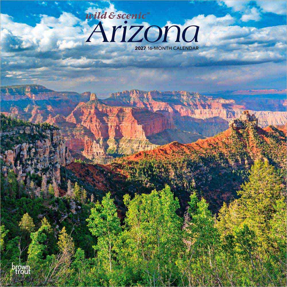 Arizona Wild & Scenic | 2027 12 x 24 Inch (Hanging) Monthly Square Wall Calendar | Plastic-Free | BrownTrout | USA United States of America Southwest State Nature