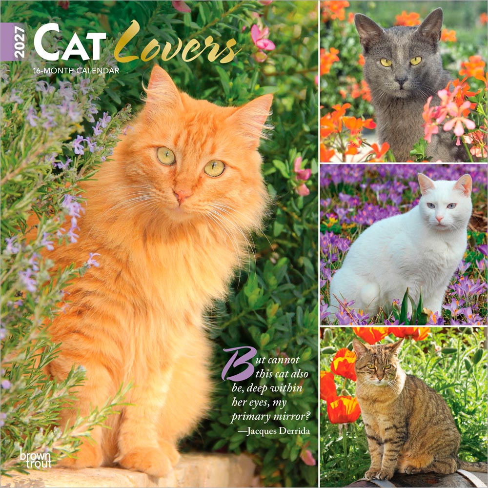 Cat Lovers | 2027 12 x 24 Inch (Hanging) Monthly Square Wall Calendar | Foil Stamped Cover | Plastic-Free | BrownTrout | Animals Domestic Kittens Feline