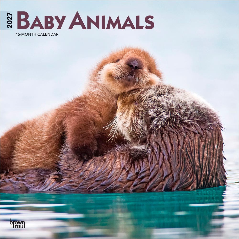 Baby Animals | 2027 12 x 24 Inch (Hanging) Monthly Square Wall Calendar | Plastic-Free | BrownTrout | Domestic Pets Chicken Small Cute