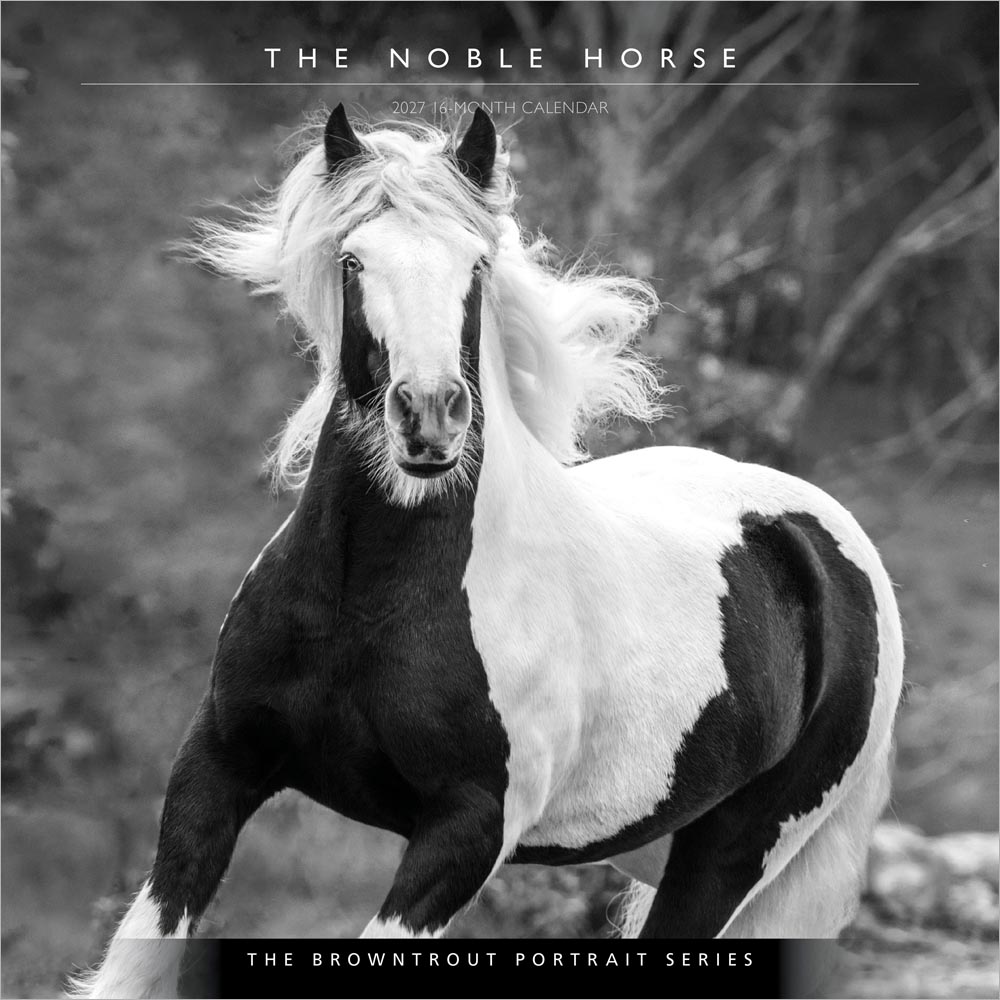 The BrownTrout Portrait Series: The Noble Horse | 2027 12 x 24 Inch (Hanging) Monthly Square Wall Calendar | Plastic-Free | Pets Equestrian