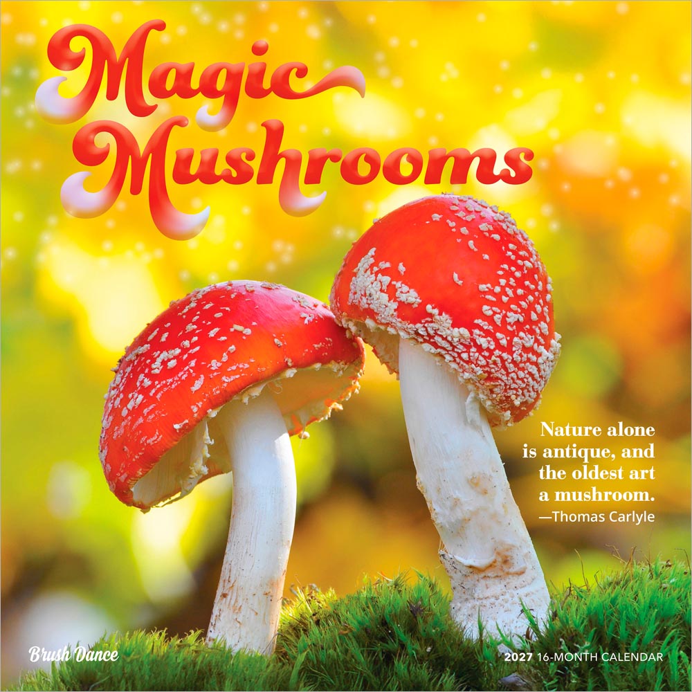 Magic Mushrooms | 2027 12 x 24 Inch (Hanging) Monthly Square Wall Calendar | Plastic-Free | Brush Dance | Fungus Fungi Microorganism