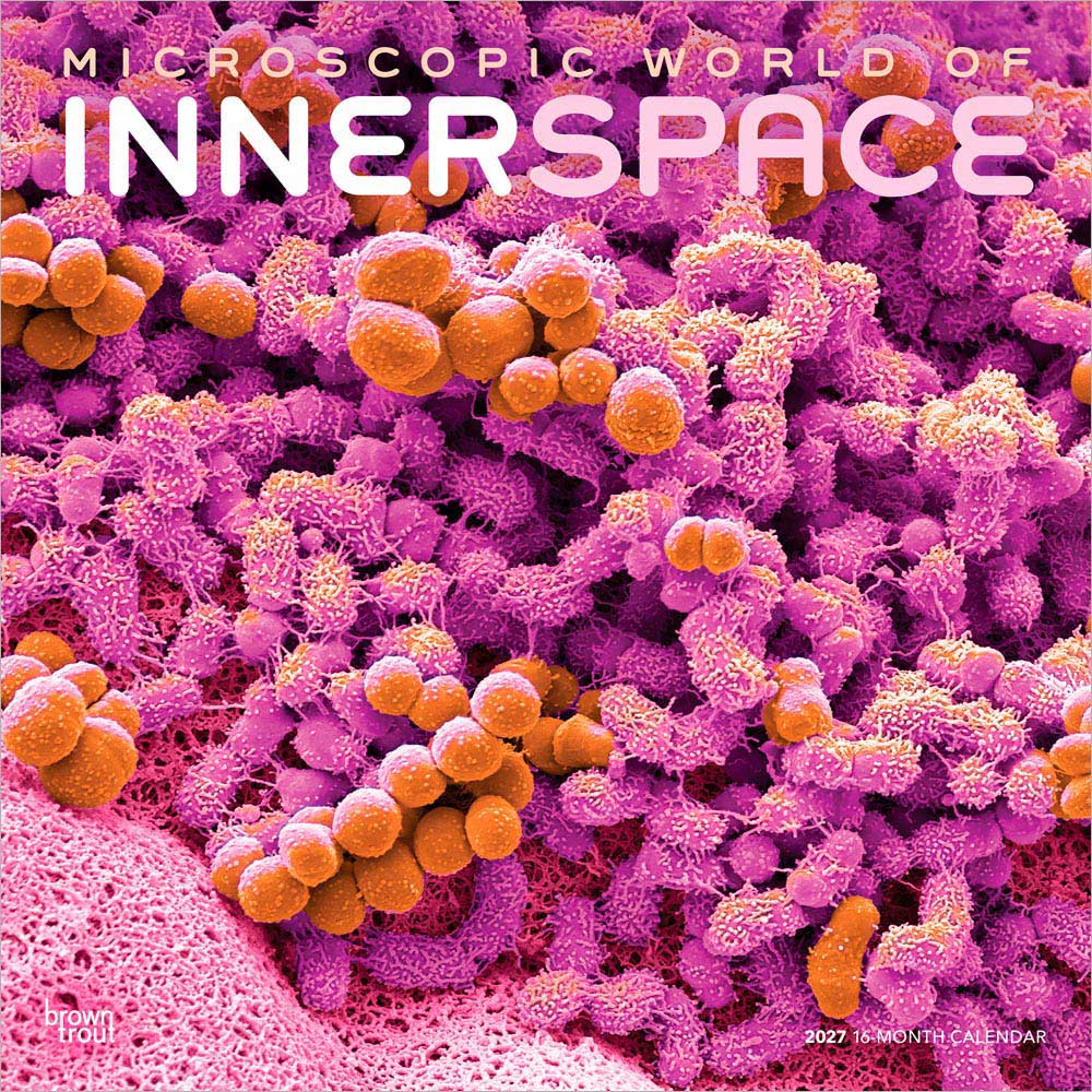 Microscopic World of Innerspace | 2027 12 x 24 Inch (Hanging) Monthly Square Wall Calendar | Plastic-Free | BrownTrout | Science Space Exploration Nature