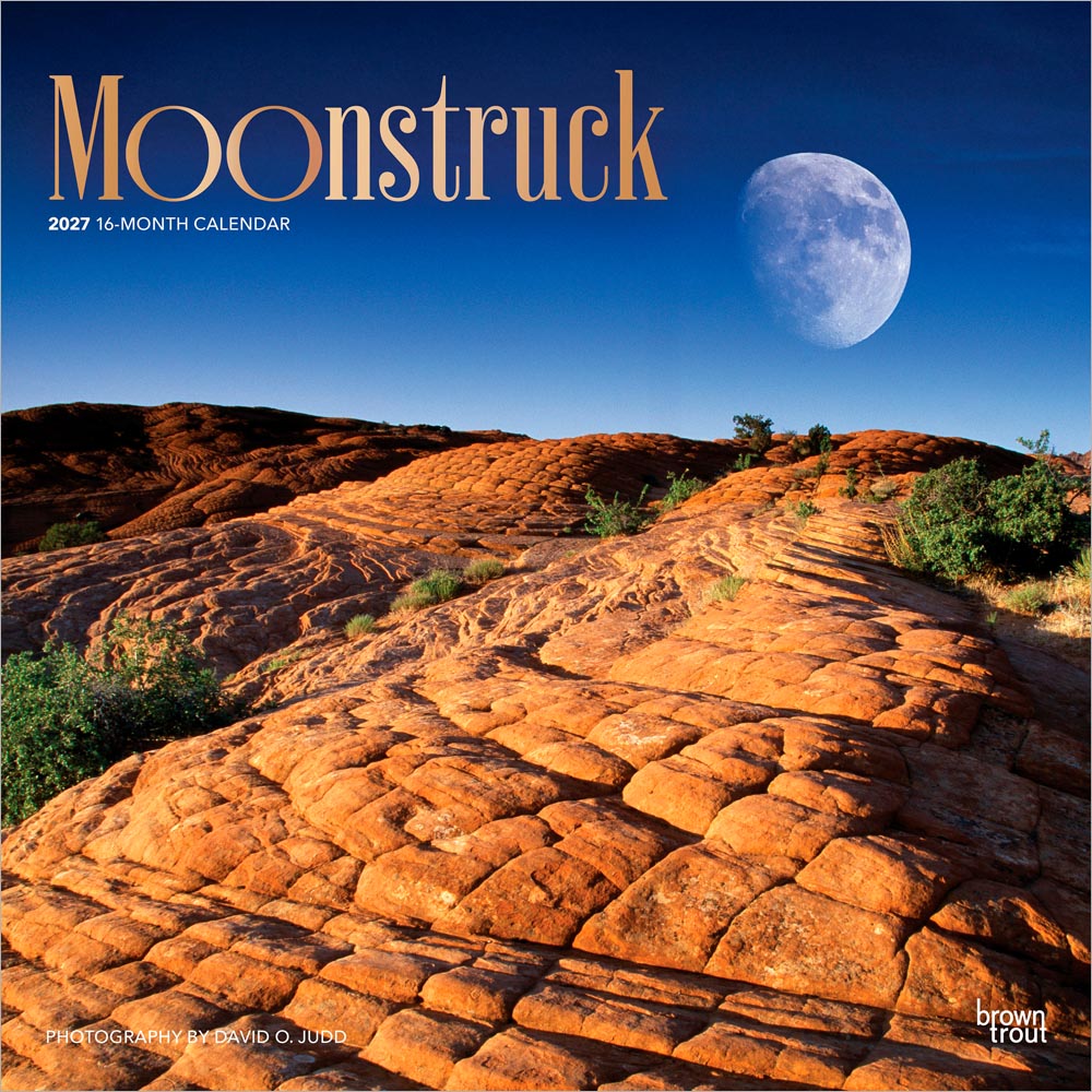 Moonstruck | 2027 12 x 24 Inch (Hanging) Monthly Square Wall Calendar | Foil Stamped Cover | Plastic-Free | BrownTrout | Lunar Stars Sky