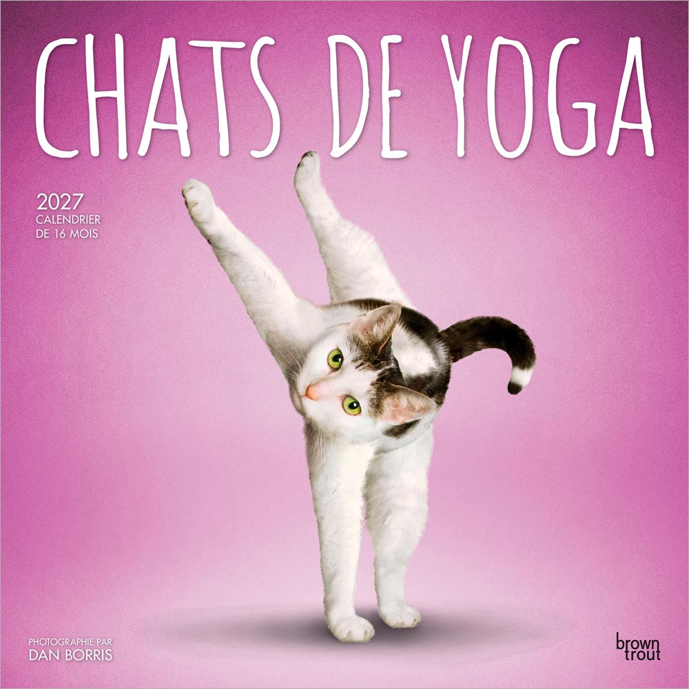 Chats de Yoga OFFICIEL | 2027 12 x 24 Inch (Hanging) Monthly Square Wall Calendar | French Language | BrownTrout | Animals Humor Pets